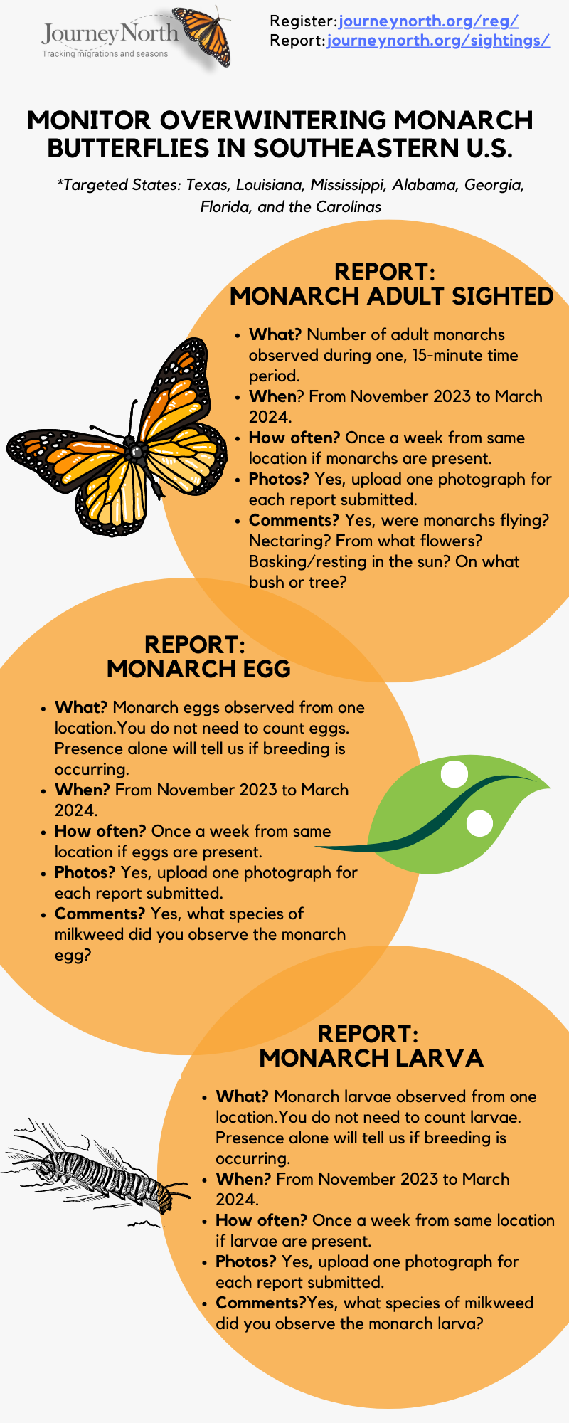 how to monitor monarchs during the winter in the southeastern US