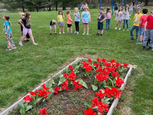 A flower garden of red tulips with children looking on