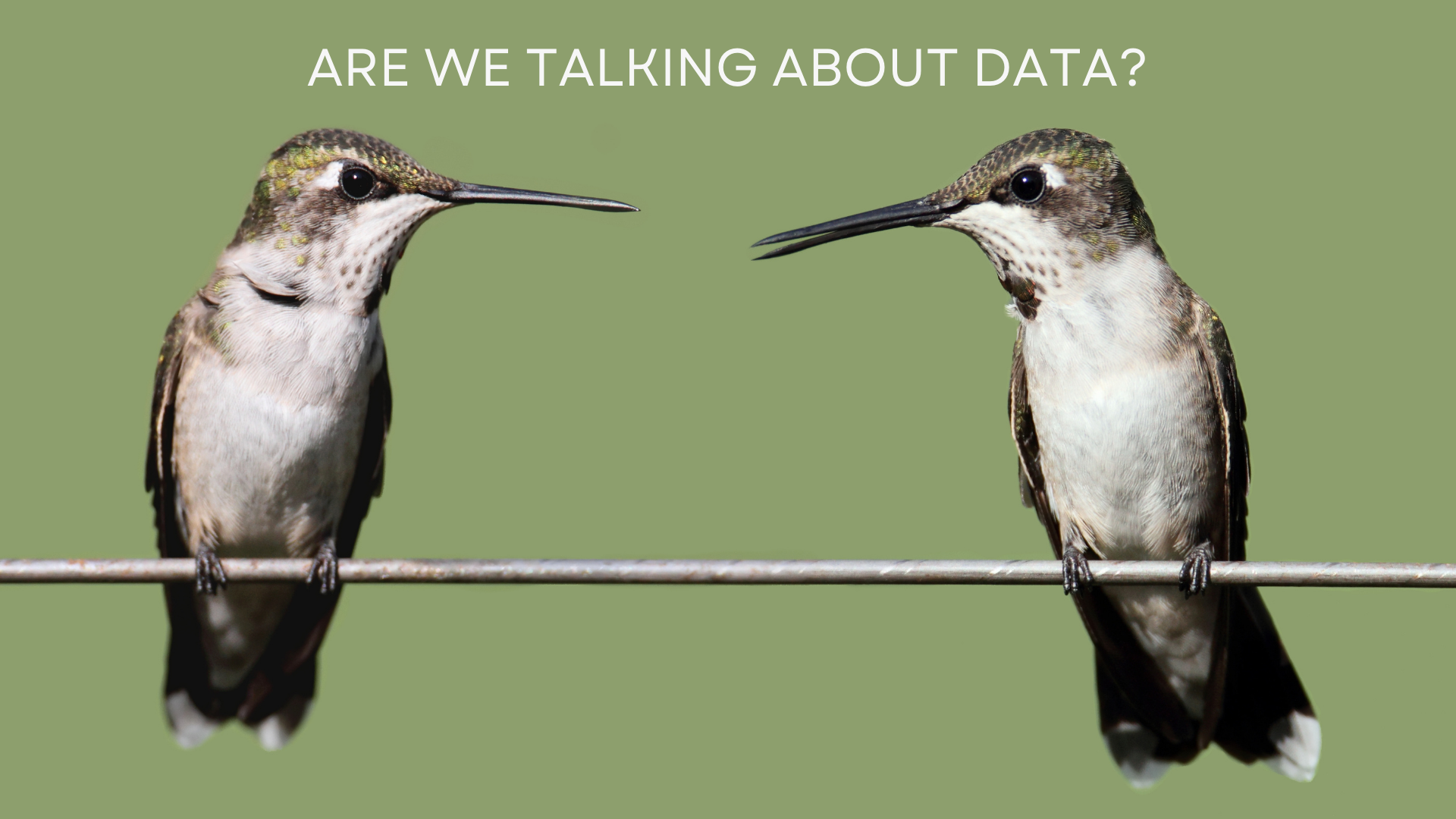 talking data