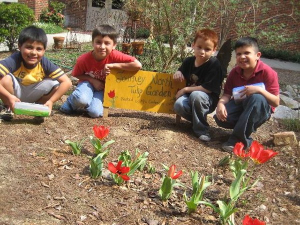 People track the arrival of spring by planting gardens as part of an international experiment.