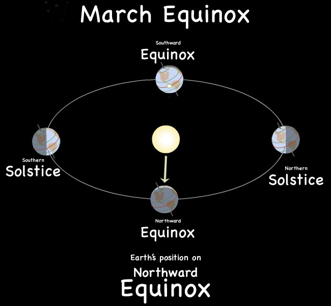 In the Northern Hemisphere, the first official day of spring occurs on the equinox around the 20th of March. Where are plants emerging or blooming at this time of year?