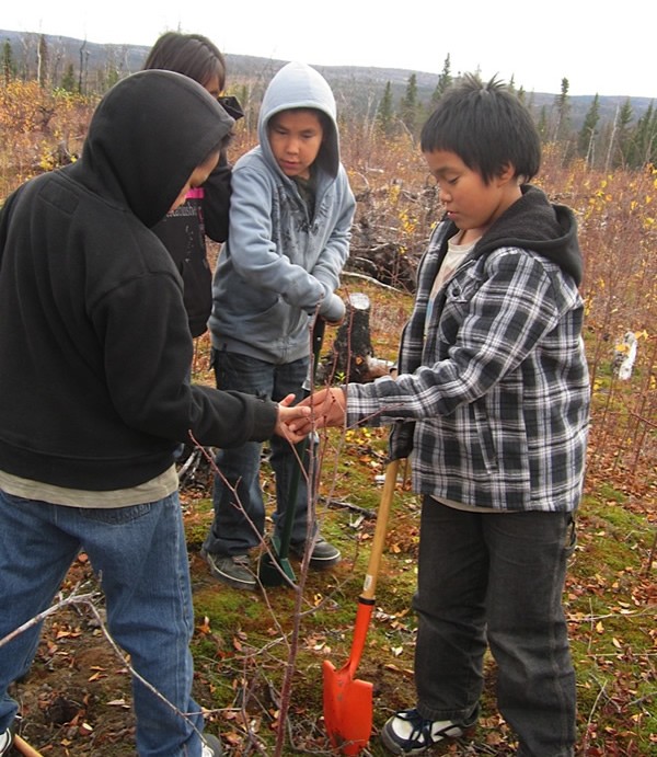 Wet, dry, cold, hot, windy, calm. How do different climate conditions affect where, when, and how plants grow? Photo credit JoyAnne Hamilton, Shageluk, Alaska.