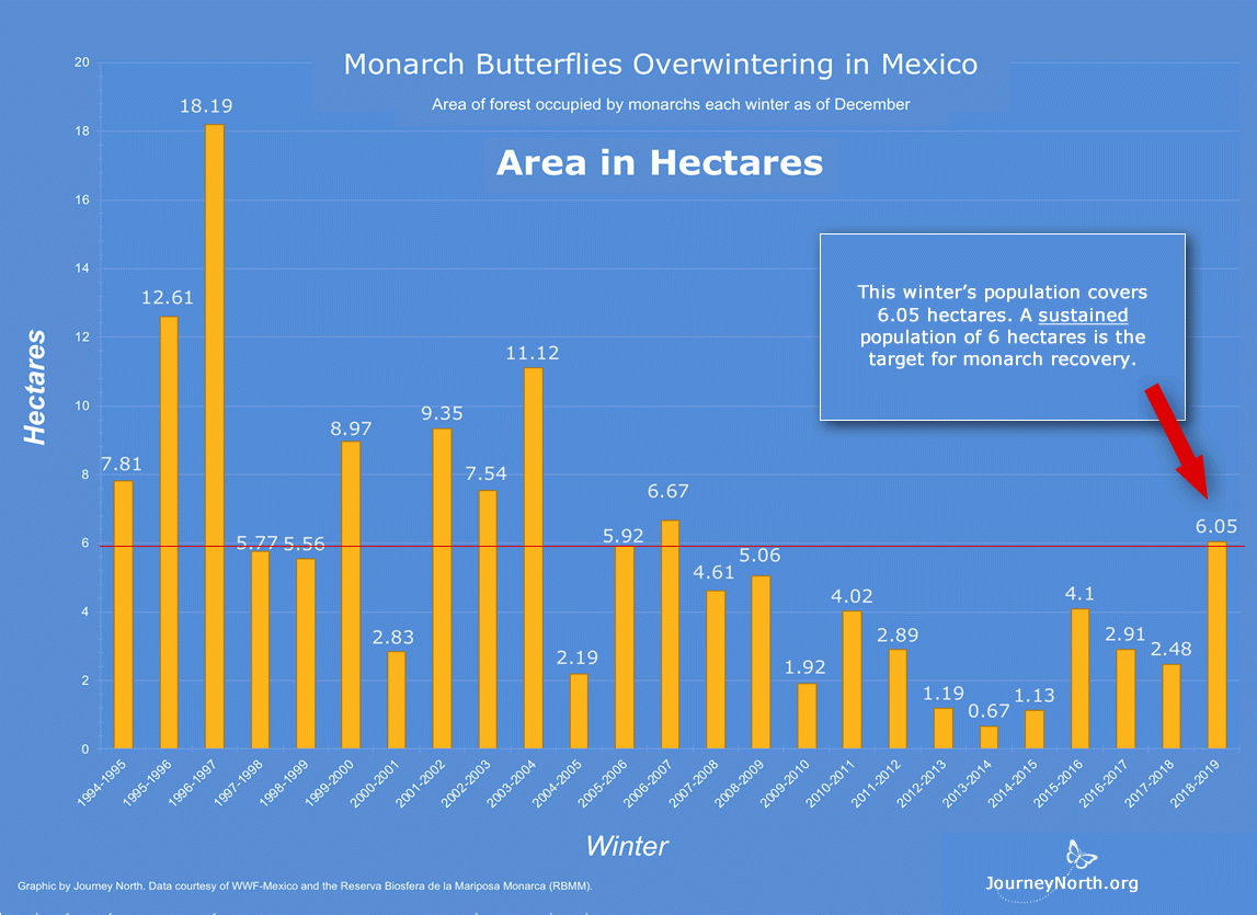 Population data have been collected consistently in Mexico since 1994. The graph shows the estimated area of forest the monarchs covered each winter. Look for trends. Why do you think it's valuable to collect population data every year?