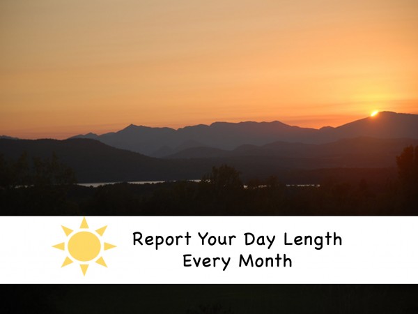 Report Your Daylight