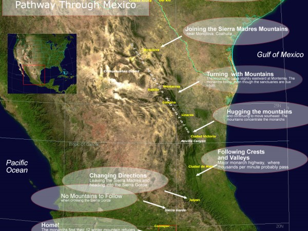 Map: Monarch Butterfly Migration Pathway in Mexico