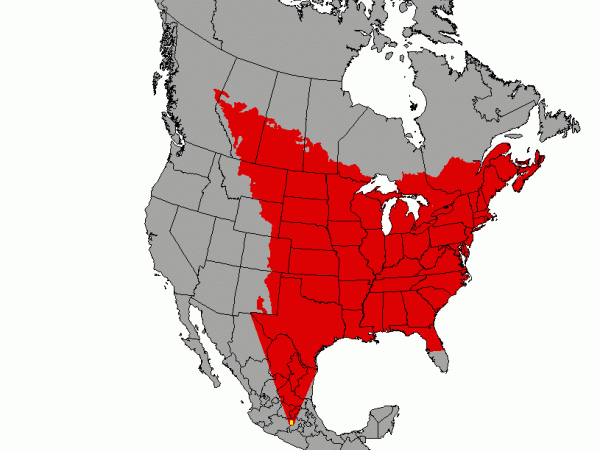 area of monarch migration