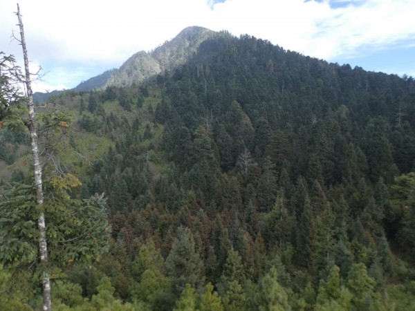 State line Cerro Pelon Sanctuary