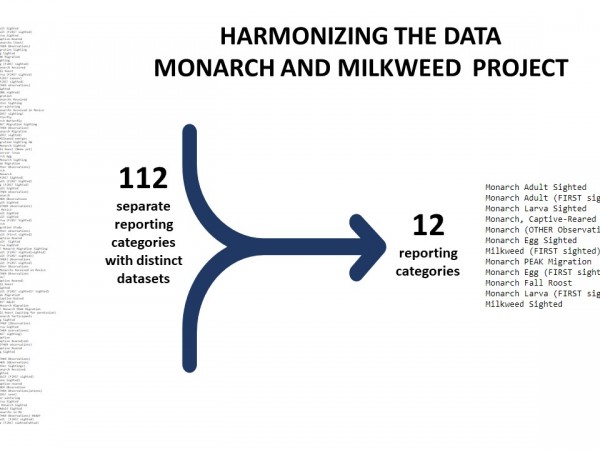 monarch and milkweed data