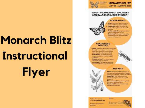 2023 Monarch Blitz Instructional Flyer