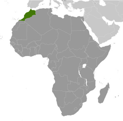 Morocco on Africa map 