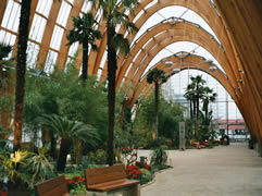 Sheffield winter garden