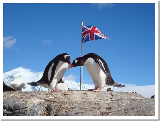 The Port Lockroy Penguins