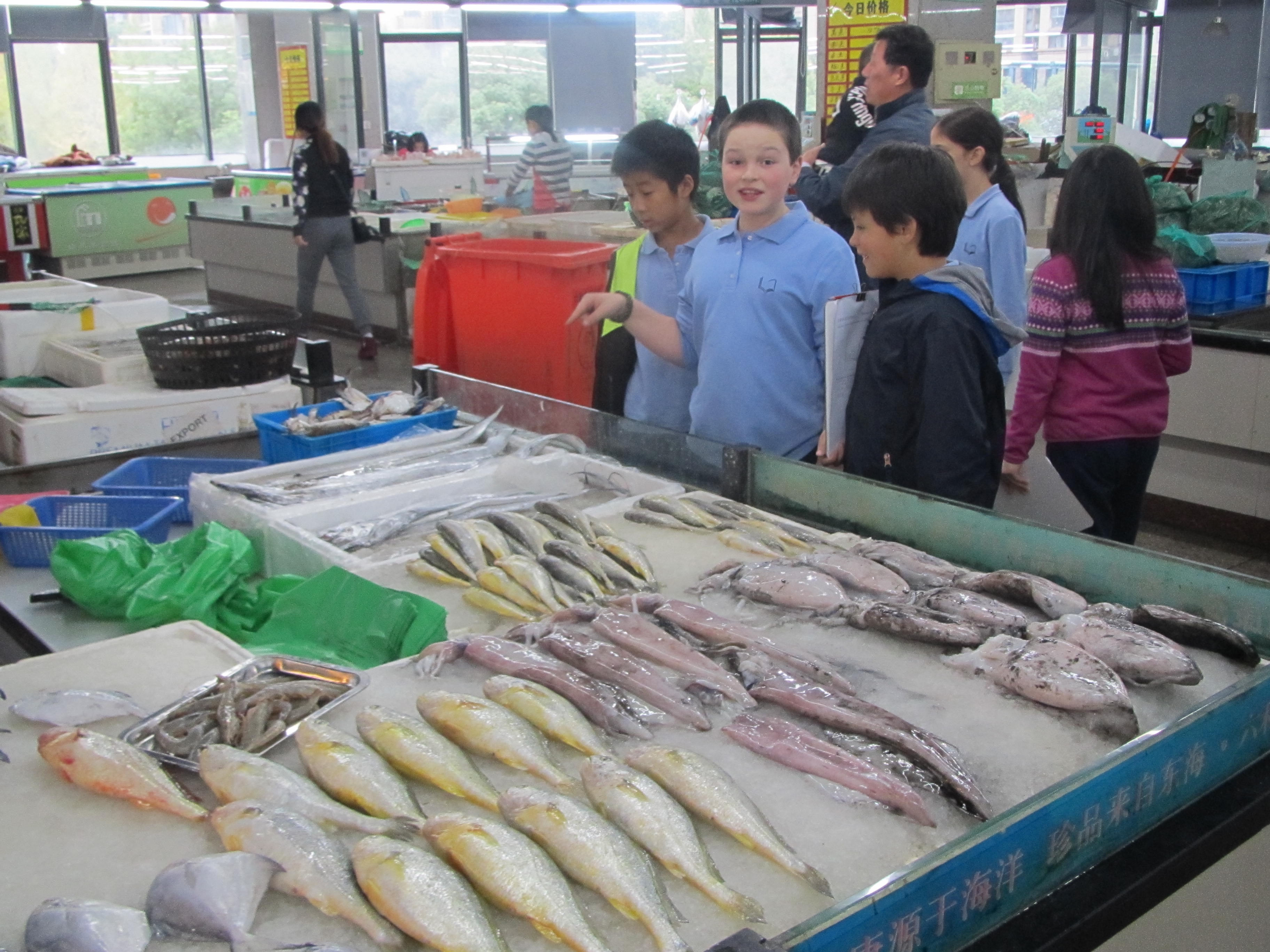 Fish Market