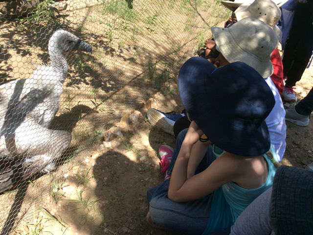Students at Wildlife Park
