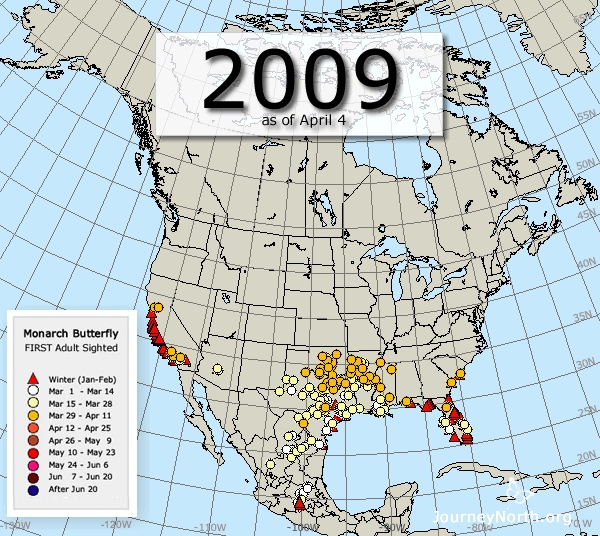 Monarch Butterfly Migration Maps: Compare Years