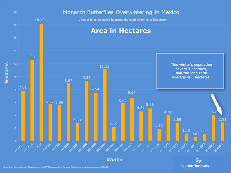 Population data have been collected consistently in Mexico since 1994. The graph shows the estimated area of forest the monarchs covered each winter. Look for trends. Why do you think it's valuable to collect population data every year? 