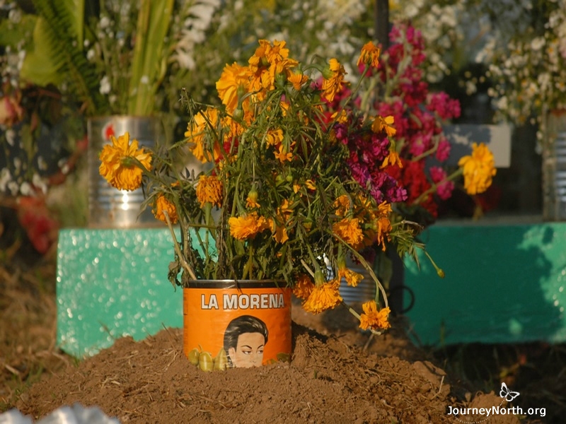 The bright orange cempasúchil (marigold) is the traditional flower of Dia de los Muertos. People say the color and fragrance guide the spirits home.