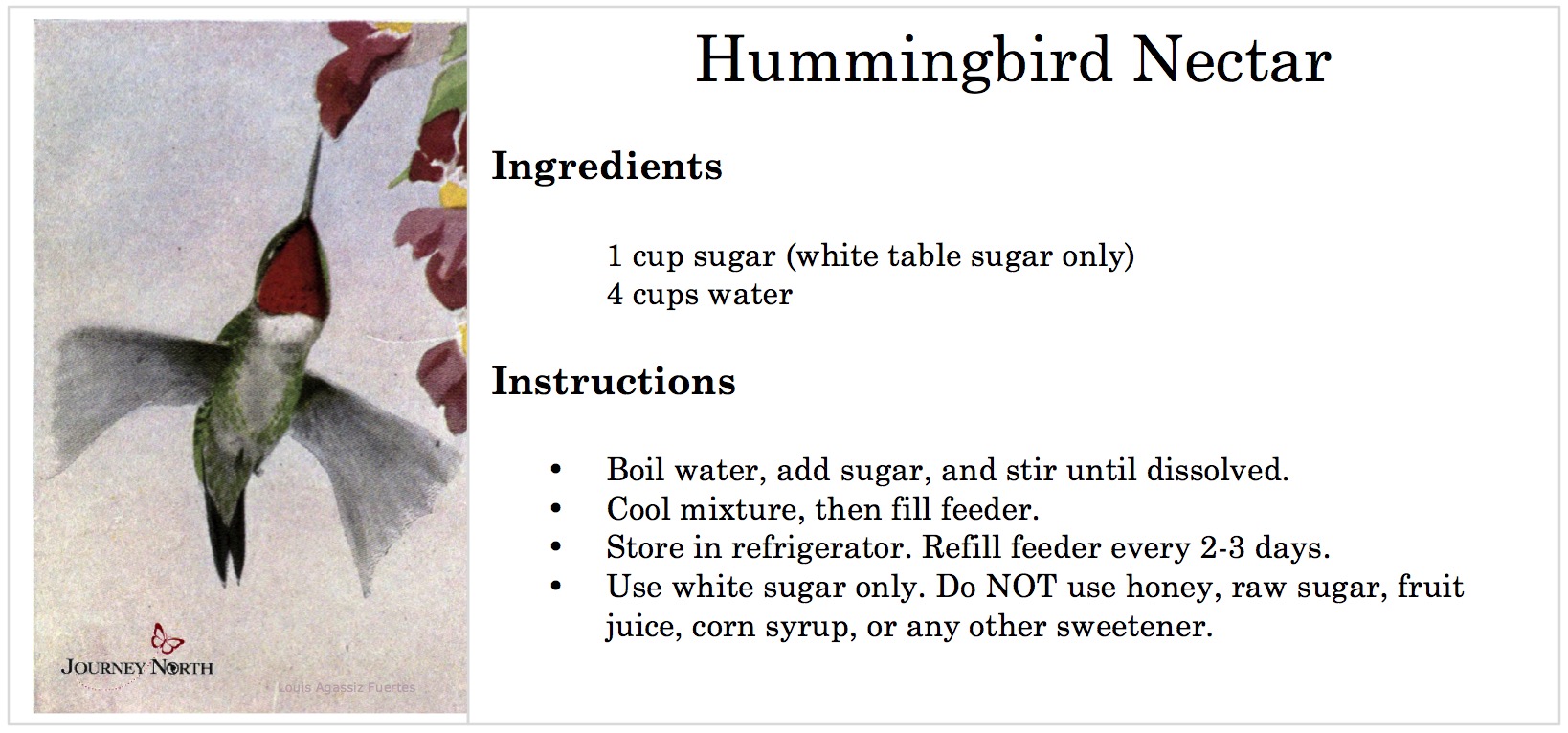 Hummingbird Feeder Recipe