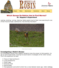 Image of Journey North's Lesson: Which Senses Do Robins Use to Find Worms?