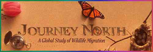 JOURNEY NORTH: A Global Study of Wildlife Migration 