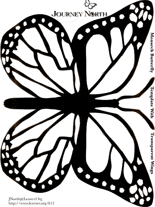 16,500+ Butterfly Wings Drawing Stock Photos, Pictures & Royalty-Free  Images - iStock