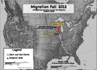 Crane migration progress: Oct. 1, 2012