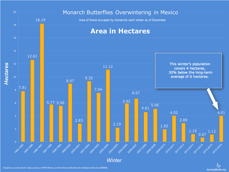 Population data have been collected consistently in Mexico since 1994. The graph shows the estimated area of forest the monarchs covered each winter. Look for trends. Why do you think it's valuable to collect population data every year? 