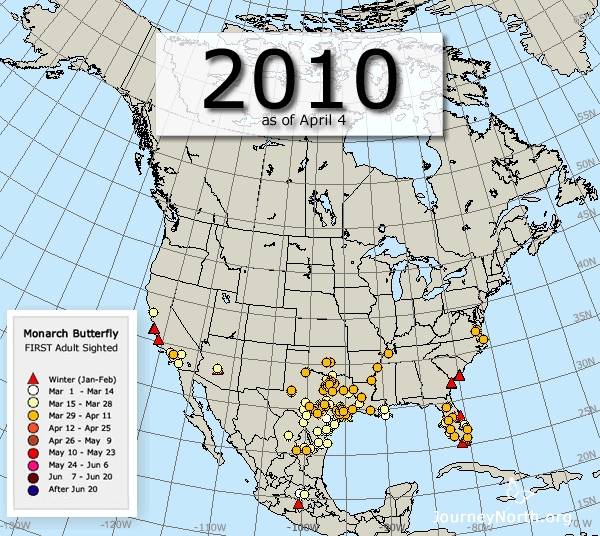 Monarch Butterfly Migration Maps: Compare Years