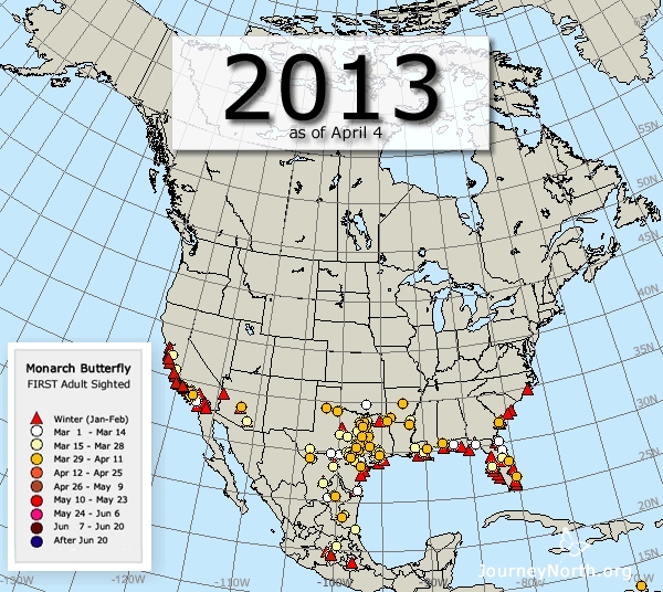 Monarch Butterfly Migration Maps: Compare Years