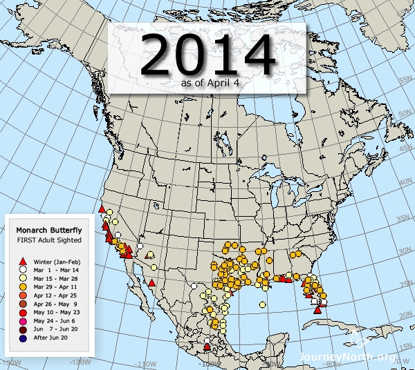 Monarch Butterfly Migration Maps: Compare Years