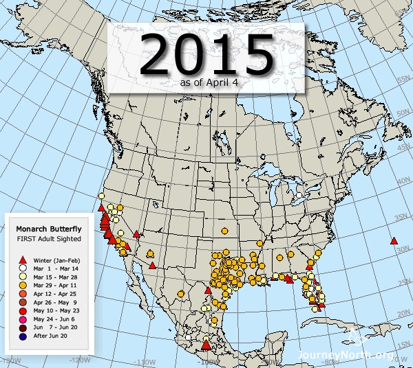 Monarch Butterfly Migration Maps: Compare Years