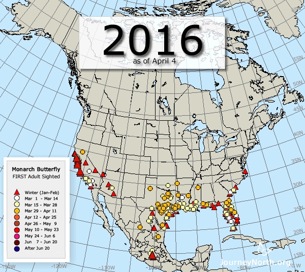 Monarch Butterfly Migration Maps: Compare Years