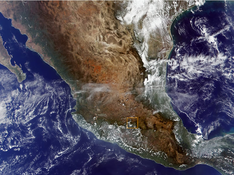 Every fall, monarchs migrate to a very small region in Mexico. They fly from across eastern North America to a region that's only 73 miles wide. The region is outlined with an orange rectangle on the map.