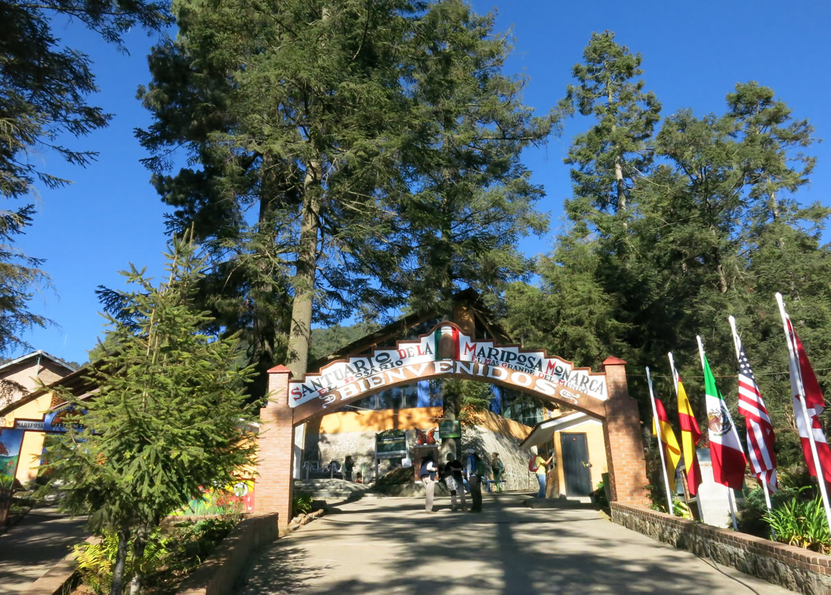 Entrance of monarch butterfly sanctuary in Mexico