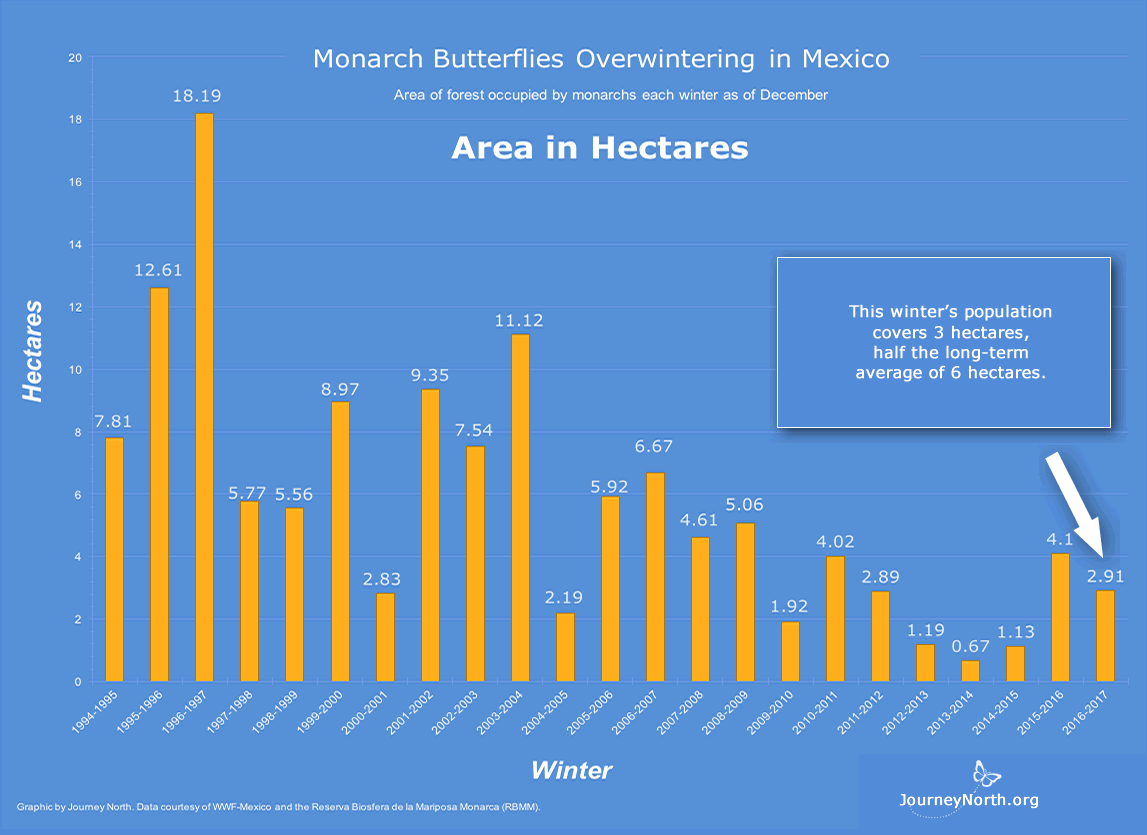 Graph showing population of monarch butterfly sanctuaries in Mexico