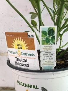 Plant tags display no neonicotinoids