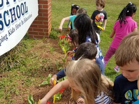 Picture of children measuring tulip growth.