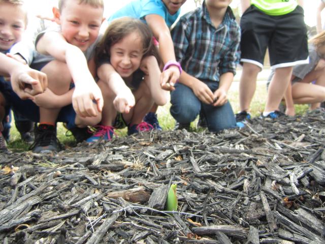 Photo of children examining the garden garden