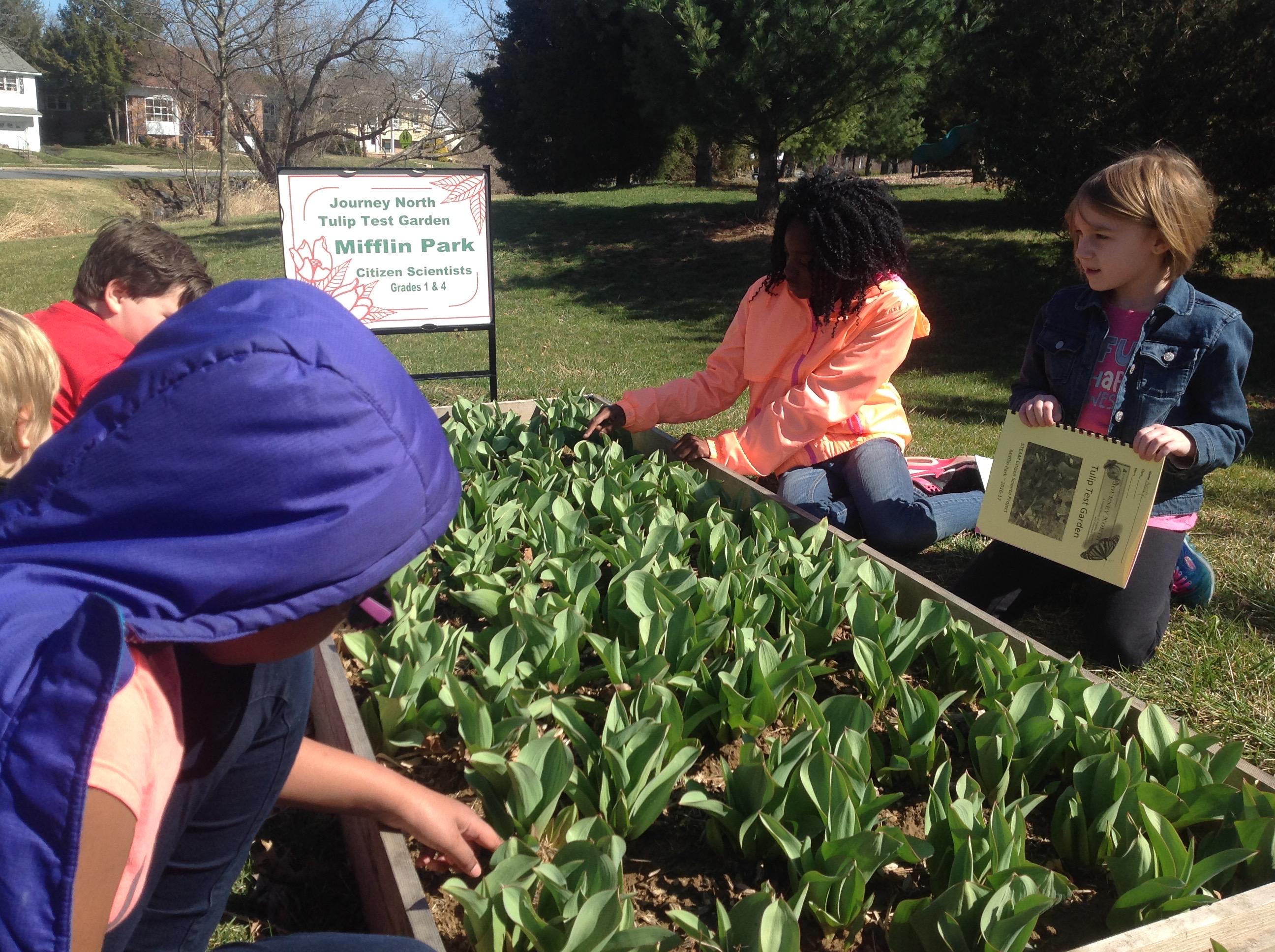 Photo of children examining the garden