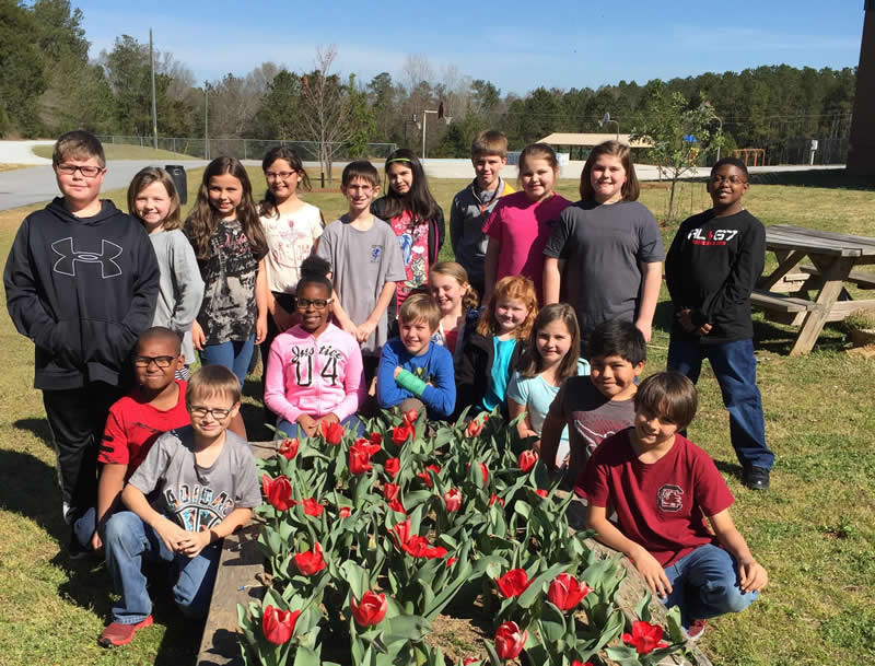 Photo of Class in the garden