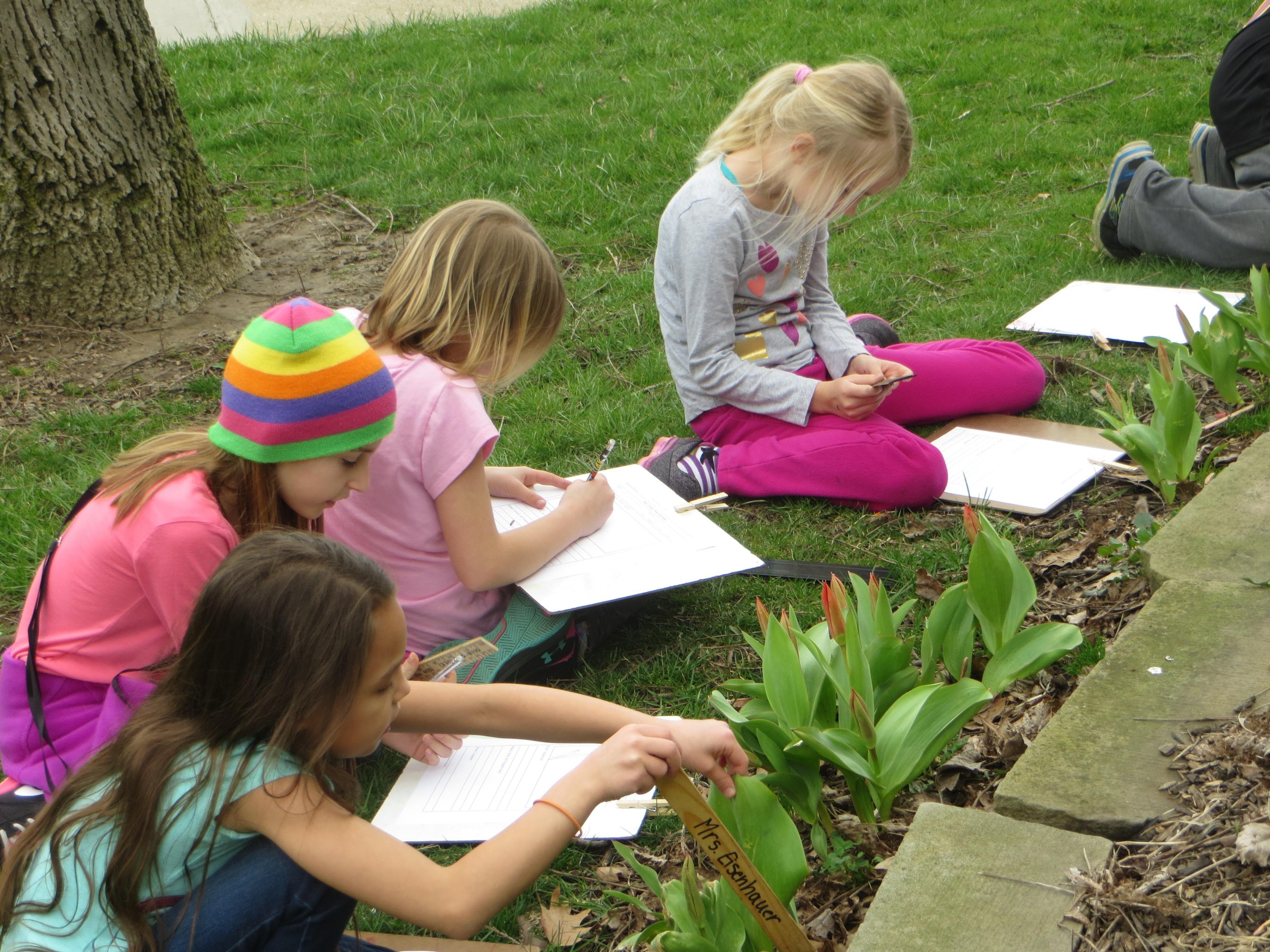 Photo of students observing flowering tulips