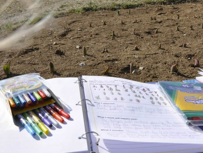 Photo of notebook with garden notes