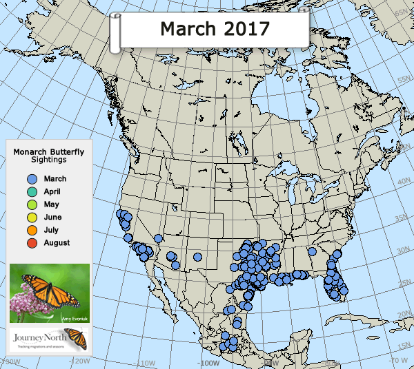 Map of Monarch Butterfly Sightings Breeding Season 2017