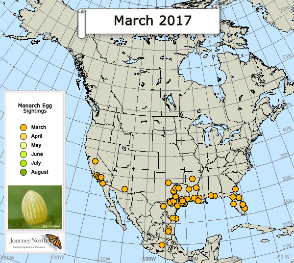 Map of Monarch Butterfly Egg Sightings Breeding Season 2017