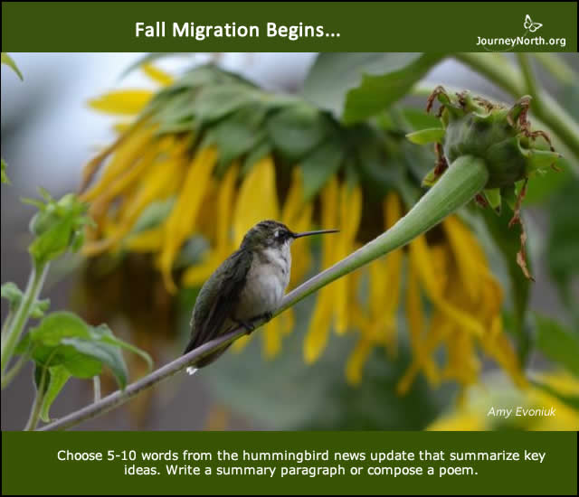 Infographic: Fall Migration Begins