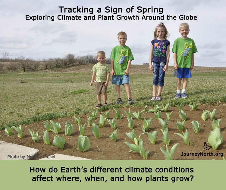 Infographic asking: How do Earth's climate conditions affect where, when, and how plants grow?