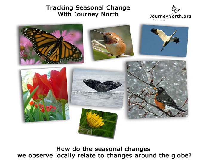 Infographic of seasonal change images