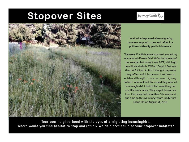 Stopover Sites