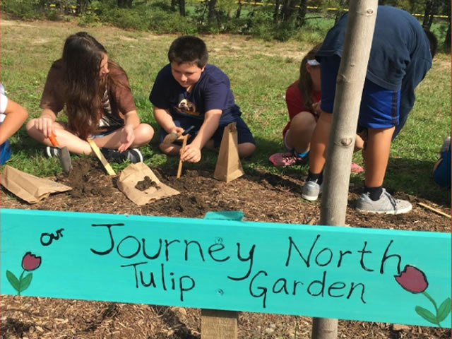 Planting in the garden.