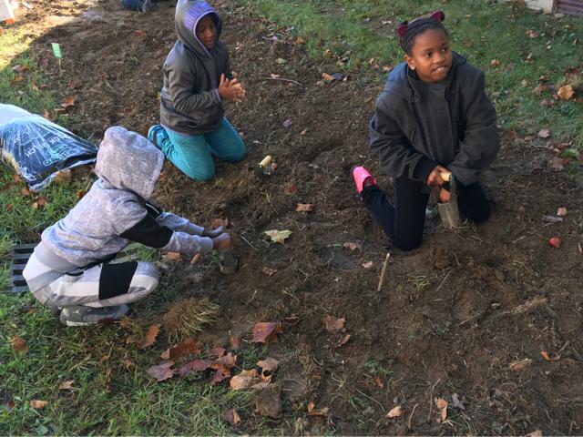 Students planting